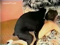 Big black dock pounding lustful white women